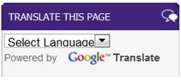 translate logo